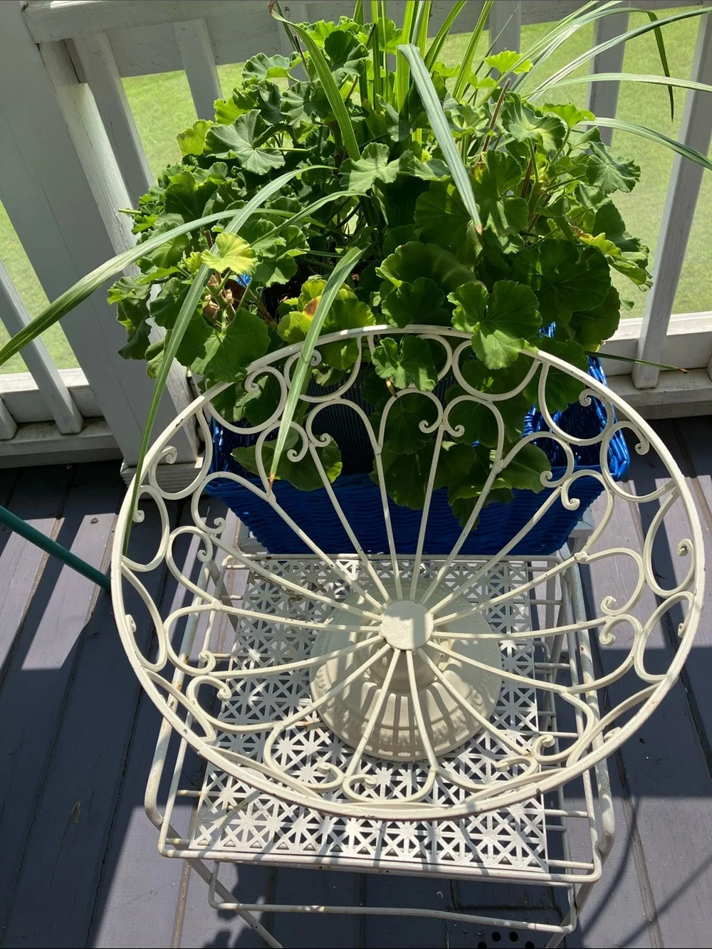 Cottage/ Shabby Chic Wrought Iron Scrollwork Bowl